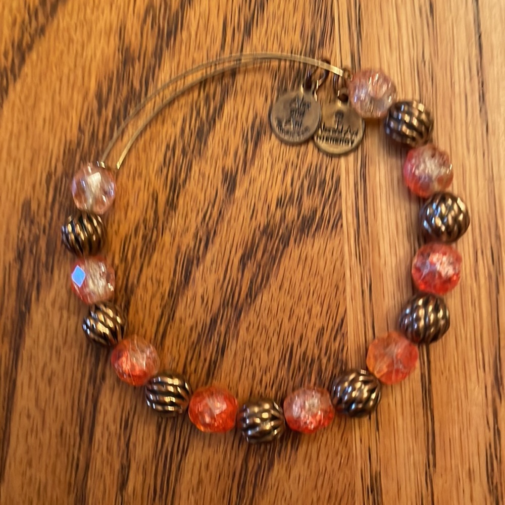 Alex & Ani Vintage View 2